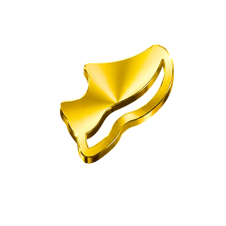 Achievement marathon_fan